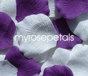 Petals - 200 Wedding Silk Rose Flower Petals Wedding Favors - Purple & White
