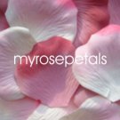 Petals - 200 Wedding Silk Rose Flower Petals Wedding Favors - Dusty Rose & White/Pink