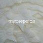 Petals - 1000 Butterfly Shaped Silk Rose Flower Petals Wedding Favors - Ivory