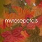 Petals - 200 Maple Leaf Silk Rose Flower Petals Wedding Favors - Mixed Color