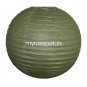 Party Paper Lantern-Round 12"-Luau Supplies- Oriental/Chinese Lamps - Sage