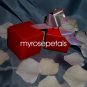 Glossy Favor Boxes - 2"x 2" x 2" Red - (10 pcs) Wedding/Shower/Party Favors