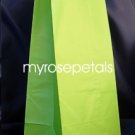Paper Favor Treat Goody Luau Party Gift Bags - Lime Green (12 Bags)