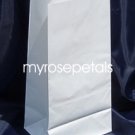 Paper Favor Treat Goody Luau Party Gift Bags - White (12 Bags)
