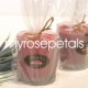 Cello / Cellophane Bags