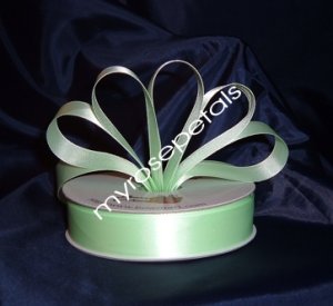 Ribbon - Satin Ribbon- 7/8" Single Face 50 Yards (150 FT)- Pale Green -Sewing-Craft -Wedding Favors