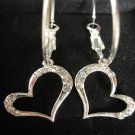Earring (E013)
