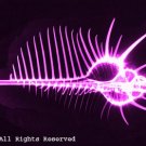 Murex Magenta Photo Print 8x10