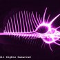 Murex Magenta Photo Print 8x10