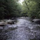 Little River Giclee Art Print 12x16