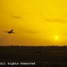 The Last Flight Out Giclee Art Print 12x16