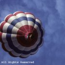 Red White and Blue Balloon Giclee Art Print 12x16