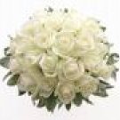 White Roses Bridal Package