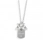 Luck" Tag and 4 Leaf Clover Charms(33178)