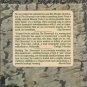 The Elementals by Morgan Llywelyn (Hardcover)