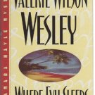 Where Evil Sleeps by Valerie Wilson Wesley (Hardcover)