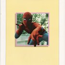Marvel Comics : Live and In Person Promotional Catalg