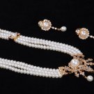 Rani Pendant Set with Real Ruby, Earrings & Emerald.