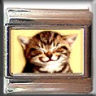 KITTY KITTEN SMILE ITALIAN PHOTO CHARM