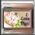I LOVE PIGS ITALIAN PHOTO CHARM