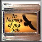 IN MEMORY OF MY SON EAGLE SUNSET ITALIAN CHARM CHARMS