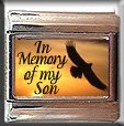 IN MEMORY OF MY SON EAGLE SUNSET ITALIAN CHARM CHARMS