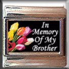 IN MEMORY OF BROTHER TULIPS ITALIAN CHARM