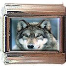 GREY WOLF ITALIAN CHARM CHARMS