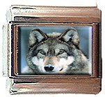 GREY WOLF ITALIAN CHARM CHARMS
