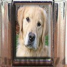 GOLDEN RETRIEVER ITALIAN CHARM CHARMS
