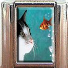 CAT AND FISH ITALIAN CHARM CHARMS