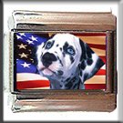 DALMATION AND AM FLAG ITALIAN CHARM CHARMS