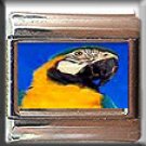 BLUE AND GOLD MCCAW ITALIAN CHARM