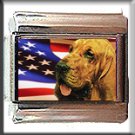 BLOODHOUND AND AM FLAG ITALIAN CHARM
