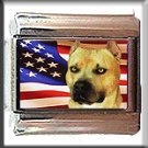AMERICAN STAFFORDSHIRE TERRIER AND AM FLAG ITALIAN CHARM