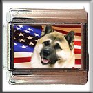 AKITA INU AND AM FLAG ITALIAN CHARM