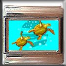 SEA TURTLES ITALIAN CHARM