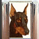 RED DOBERMAN PINSCHER ITALIAN CHARM