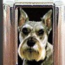 MINIATURE PINSCHER CROPPED EARS ITALIAN CHARM