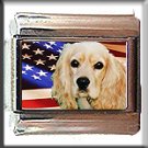COCKER SPANIEL AND AM FLAG ITALIAN CHARM