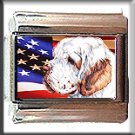 CLUMBER SPANIEL AND AM FLAG ITALIAN CHARM