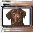 CHOCOLATE LARADOR ITALIAN CHARM