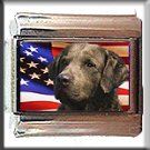 CHESAPEAKE BAY RETRIEVER AM FLAG ITALIAN CHARM