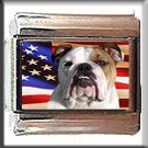 BULL DOG AND AM FLAG ITALIAN CHARM