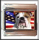 BULL DOG AND AM FLAG ITALIAN CHARM
