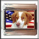 BRITTANY SPANIEL AND AM FLAG ITALIAN CHARM