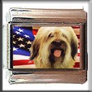 BRIARD AND AM FLAG ITALIAN CHARM