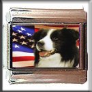 BORDER COLLIE AND AM FLAG ITALIAN CHARM