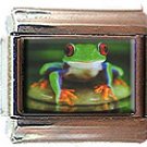ZEN FROG ITALIAN CHARM