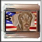 WEIMARANER AND AM FLAG ITALIAN CHARM